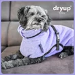 DRYUP® 