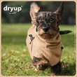 DRYUP® szárító köpeny tacskóknak - Sand