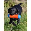 Kép 2/2 - CHUCKIT Tumble Bumper (M)