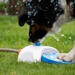 CoolPets Splash Water Fountain