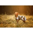 Rukka Pets Stormy télikabát - Camo