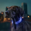 WAUDOG tölthető LED világító nyakörv kutyáknak