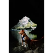 Woolly Wolf Roam hám - Deep Teal