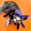 Kép 2/2 - Zippy Paws - Halloween Purple Spider - nagy