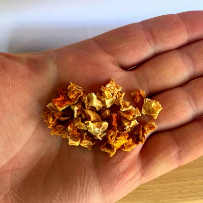 100% sütőtök tréning jutalomfalat - BARF LOVE