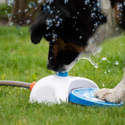 CoolPets Splash Water Fountain