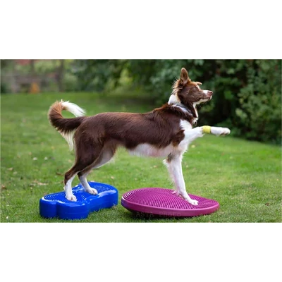 FitPaws Balance disc 36cm - burgundy