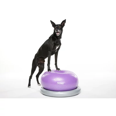 FitPaws Donut Holder (Trax fánkhoz)