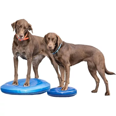 FitPaws Balance disc 46cm - kék