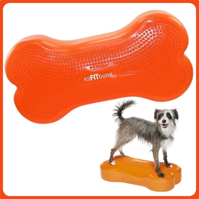 Fitpaws K9 FITbone - 58 x 29 x 10 cm - narancs