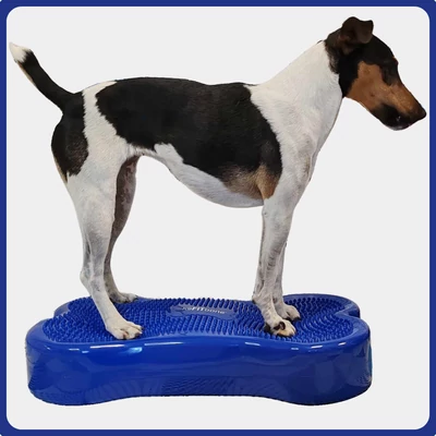 Fitpaws K9 FITbone - 58 x 29 x 10 cm - kék