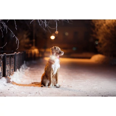 Max &amp; Molly Matrix 2.0 Ultra LED lámpa - Black