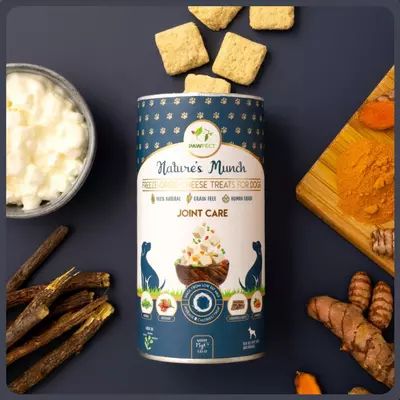 Pawfect Freeze-Dried Cheese Treats - Joint Care