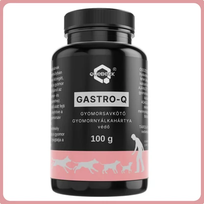 GASTRO-Q gyomorsavkötő, gyomornyálkahártya védő por 100g - Quebeck