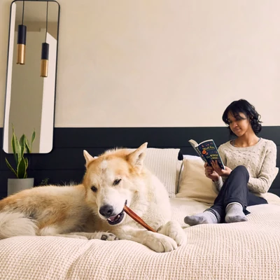 Woof BullySafe rágórúd tartó kutyáknak