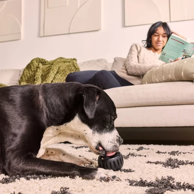 Woof Pupsicle tölthető nyalogatós kutyajáték erős rágóknak - L