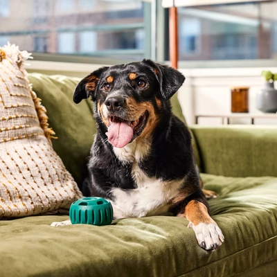 Woof Pupsicle tölthető nyalogatós kutyajáték zöld - L