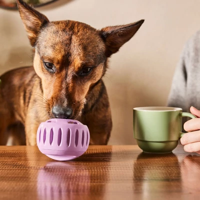 Woof Pupsicle tölthető nyalogatós kutyajáték lila - S