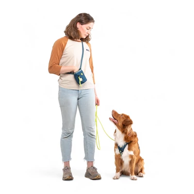Woolly Wolf Horizon hám - Deep Teal