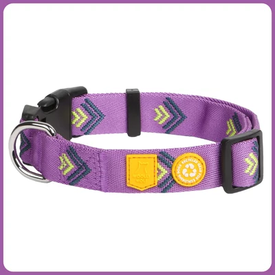 Woolly Wolf Northern Lights nyakörv