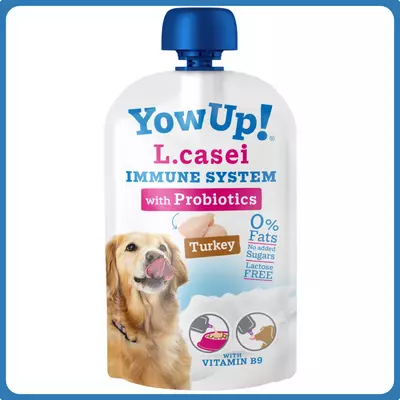 YowUp! L. Casei Immune System joghurt probiotikummal