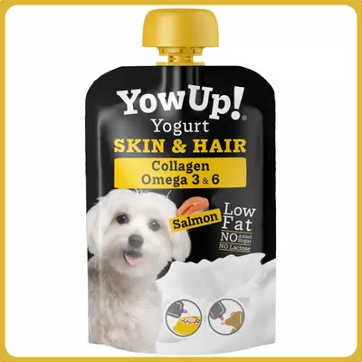 YowUp! Skin &amp; Hair joghurt lazaccal