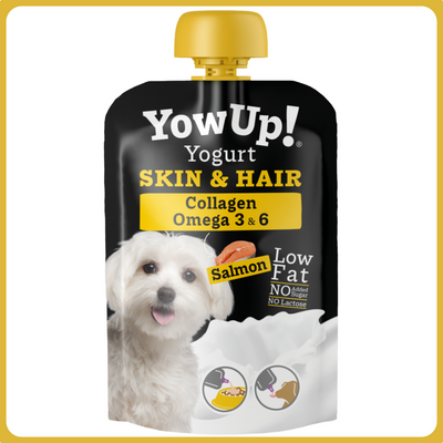 YowUp! Skin & Hair joghurt lazaccal