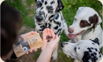 Mire figyelj jutalomfalat vásárlásakor?