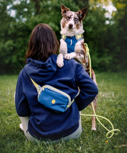 Woolly Wolf kiegészítők