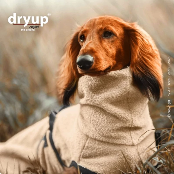 DRYUP® szárító köpeny tacskóknak - Sand