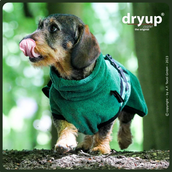 DRYUP® szárító köpeny tacskóknak - Dark Green