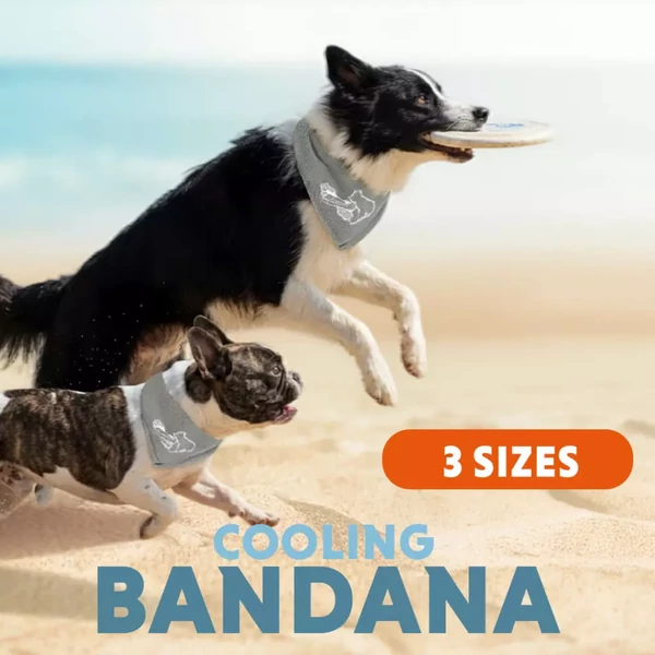 CoolPets hűsítő kendő bézs - M 
