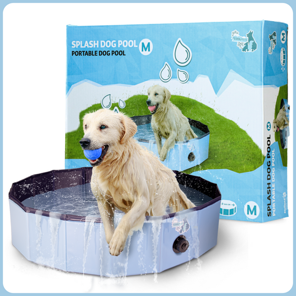 Coolpets medence S - 80 x 20 cm