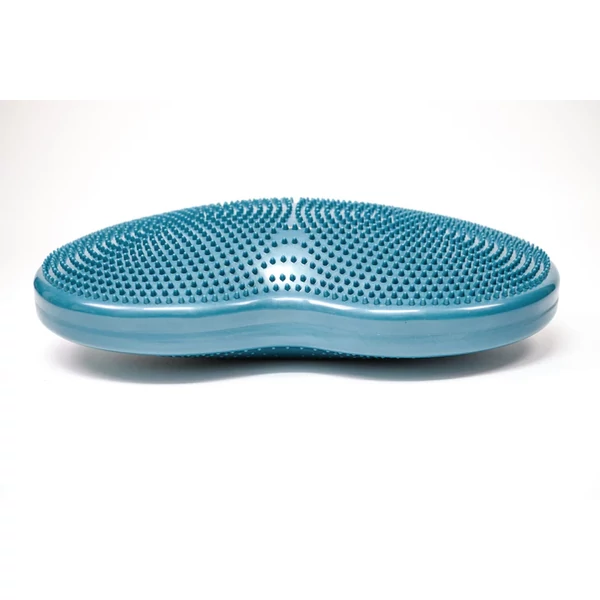 FitPaws Duo Disc
