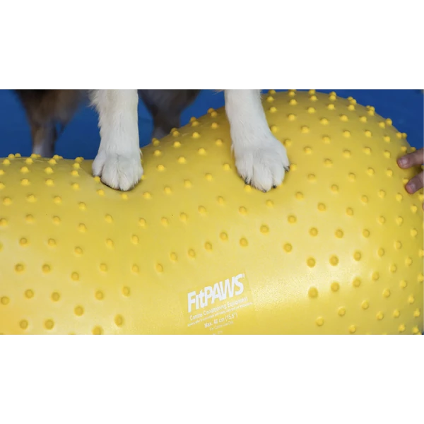 FitPaws Peanut Trax mogyoró 40 cm - sárga