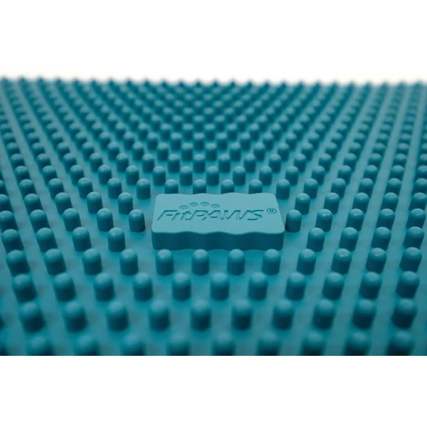 FitPaws K9 FitMat