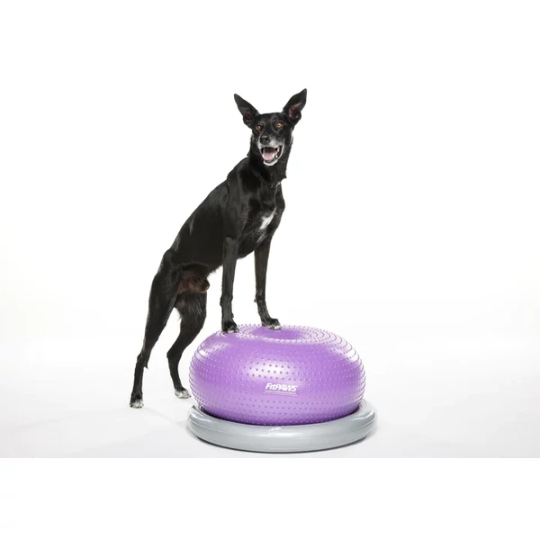 FitPaws Trax Donut fánk 55cm - lila