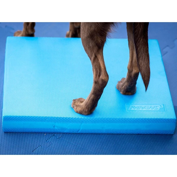 FitPaws Balance Pad 38 x 46 x 5 cm