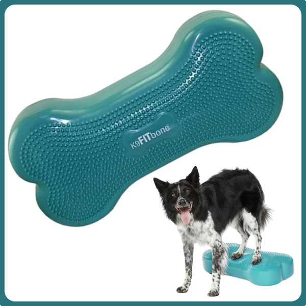 Fitpaws K9 FITbone - 58 x 29 x 10 cm - aqua