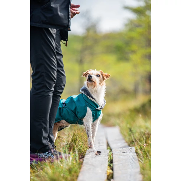 KevytPomppa kutyakabát hámnyílással - Forest