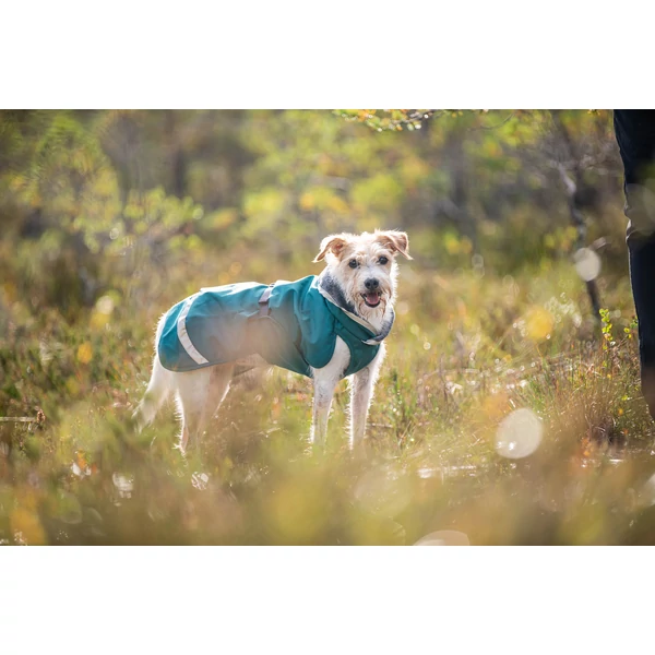 KevytPomppa kutyakabát hámnyílással - Forest
