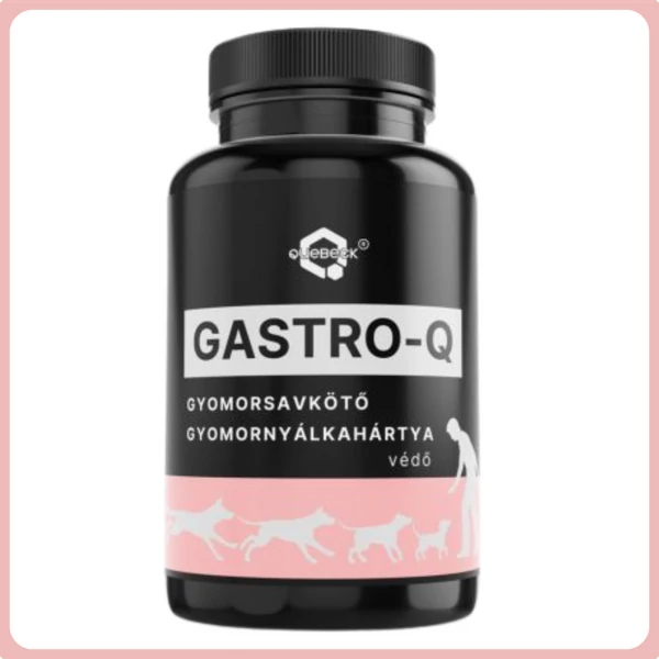 GASTRO-Q gyomorsavkötő, gyomornyálkahártya védő por 50g