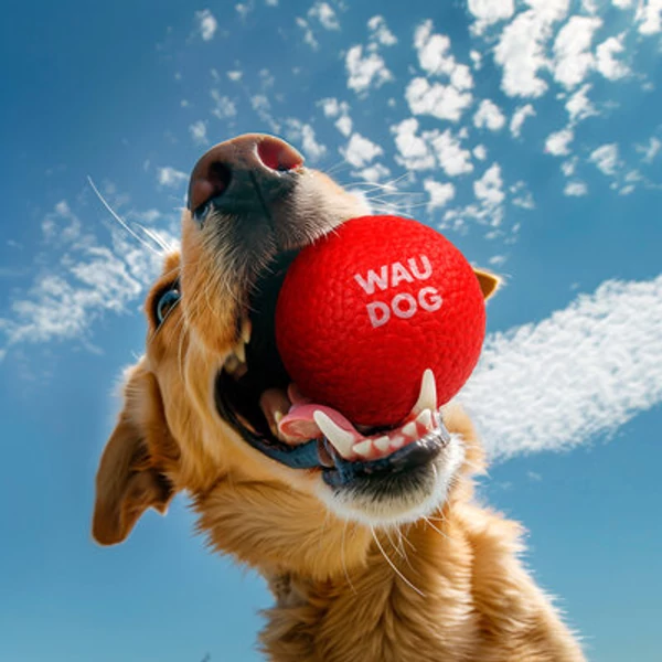 WAUDOG Fun Red Ball labda kutyáknak - 7 cm