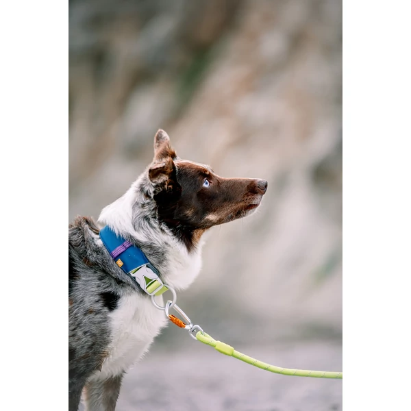 Woolly Wolf Alpha 360 kutyanyakörv - Deep Teal