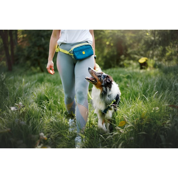 Woolly Wolf Alpha 360 kutyás övtáska - Deep Teal
