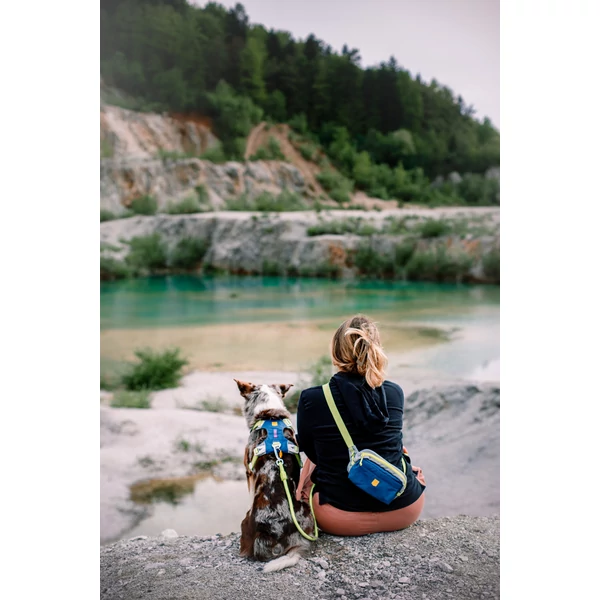 Woolly Wolf Alpha 360 kutyás övtáska - Deep Teal