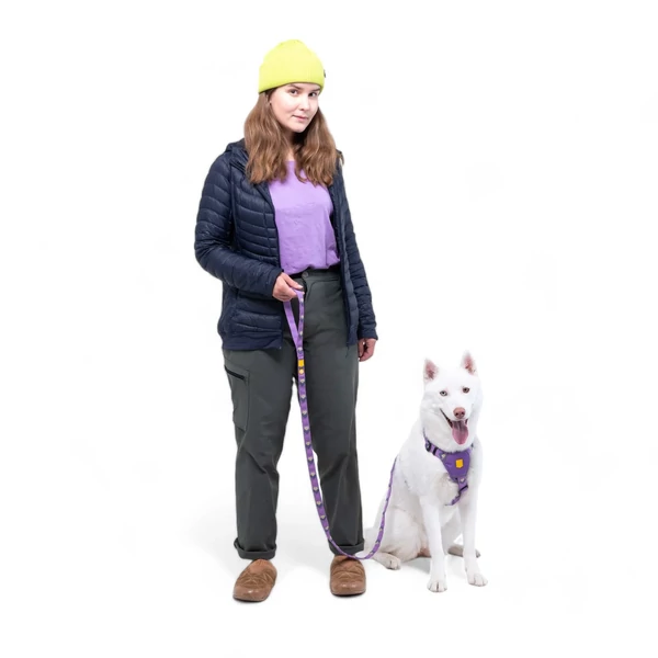 Woolly Wolf Northern Lights póráz