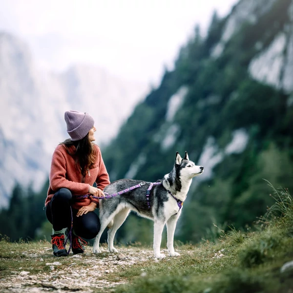 Woolly Wolf Northern Lights póráz