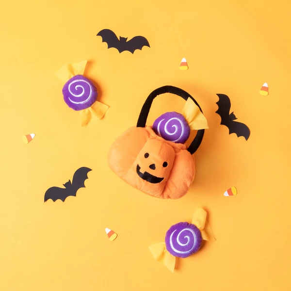 Zippy Burrow Trick or Treat Busket