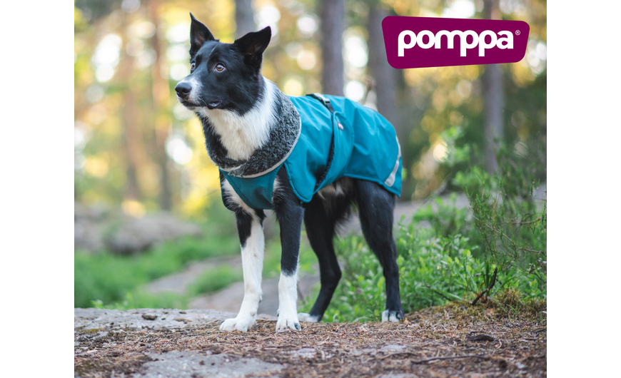 Perus vagy Toppa - melyik téli kutyakabátot válasszam a Pomppától?